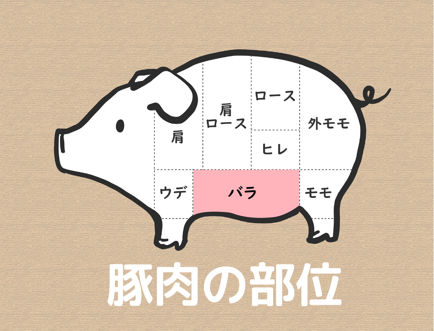 赤身と脂の黄金比！豚バラ肉」豚肉の部位について徹底解説③ | 牛肉・豚肉・鶏肉などの業務用ブランド食肉仕入れ通販サイトはOnikuLAB